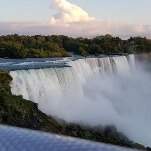 Meet your Posher, Violet